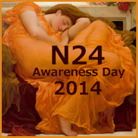 N24 Day 2014 logo