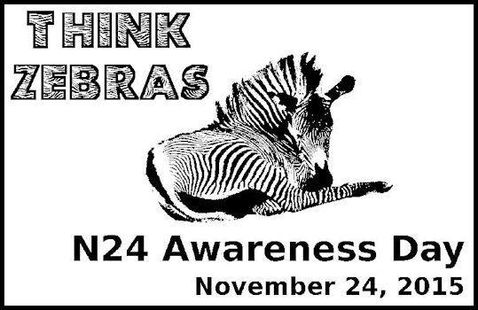 N24 Day: Think Zebras